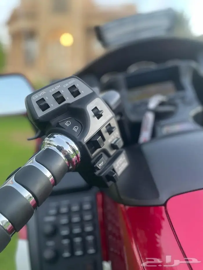 GOLDWING 10