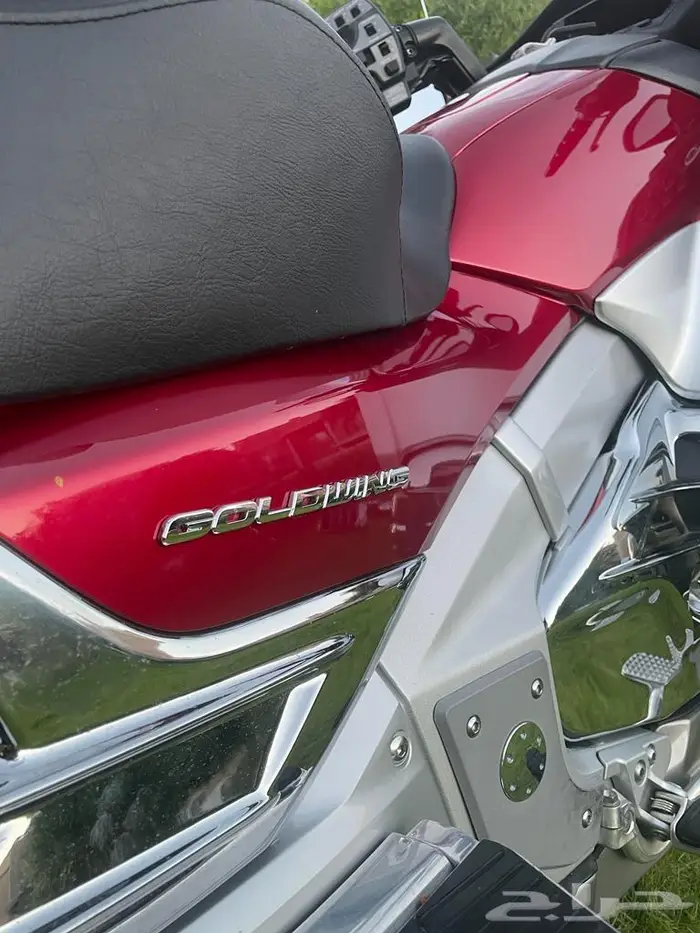 GOLDWING 6