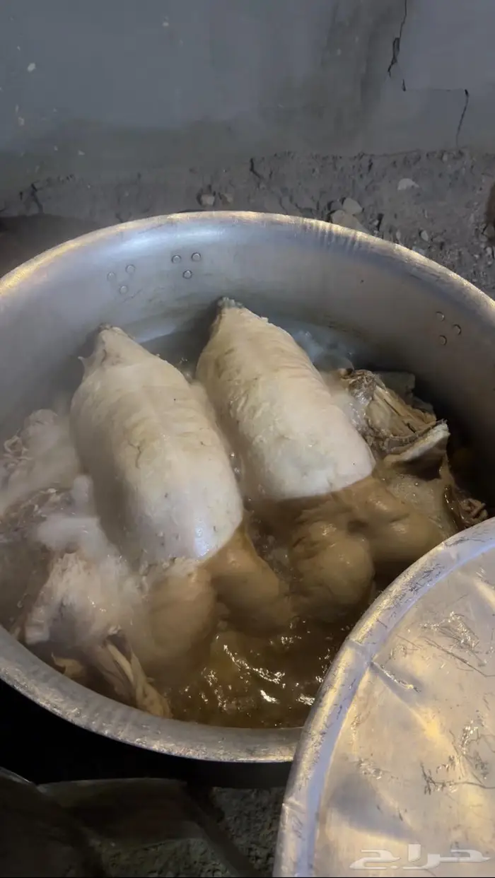 طباخ سعودي متنقل في الرياض 50