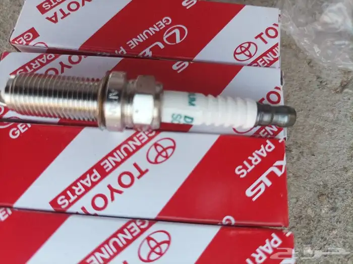 بواجي وافياش كورلا 1