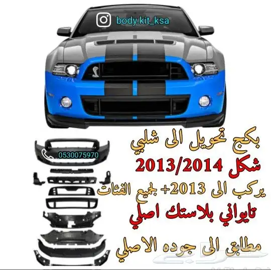 صدام شلبي 2014 0
