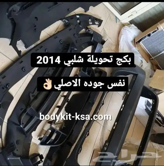 صدام شلبي 2014 1
