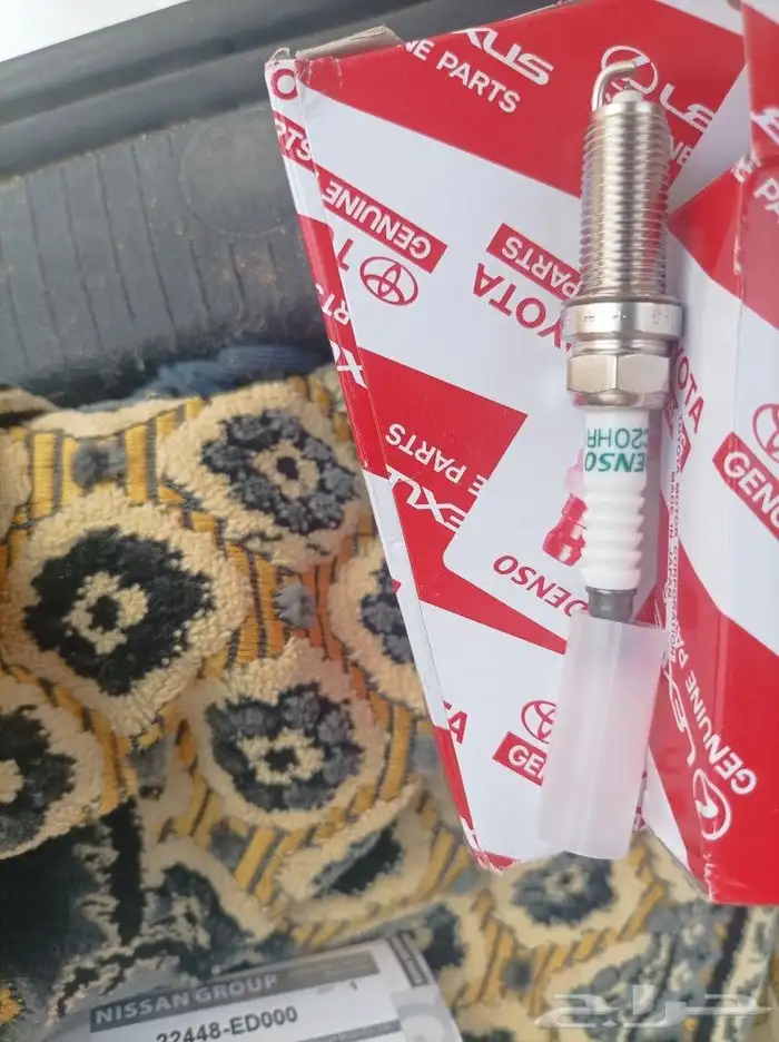 بواجي وافياش كورلا 3