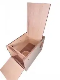 بياضه طيور روز بادجي كروان كاسكو كناري 2