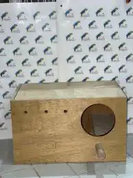 بياضه طيور روز بادجي كروان كاسكو كناري 0