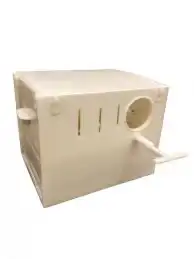 بياضه طيور روز بادجي كروان كاسكو كناري 1