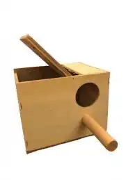 بياضه طيور روز بادجي كروان كاسكو كناري 5