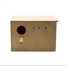 بياضه طيور روز بادجي كروان كاسكو كناري 4