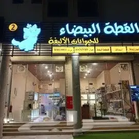 عرض ترويش قطط 1