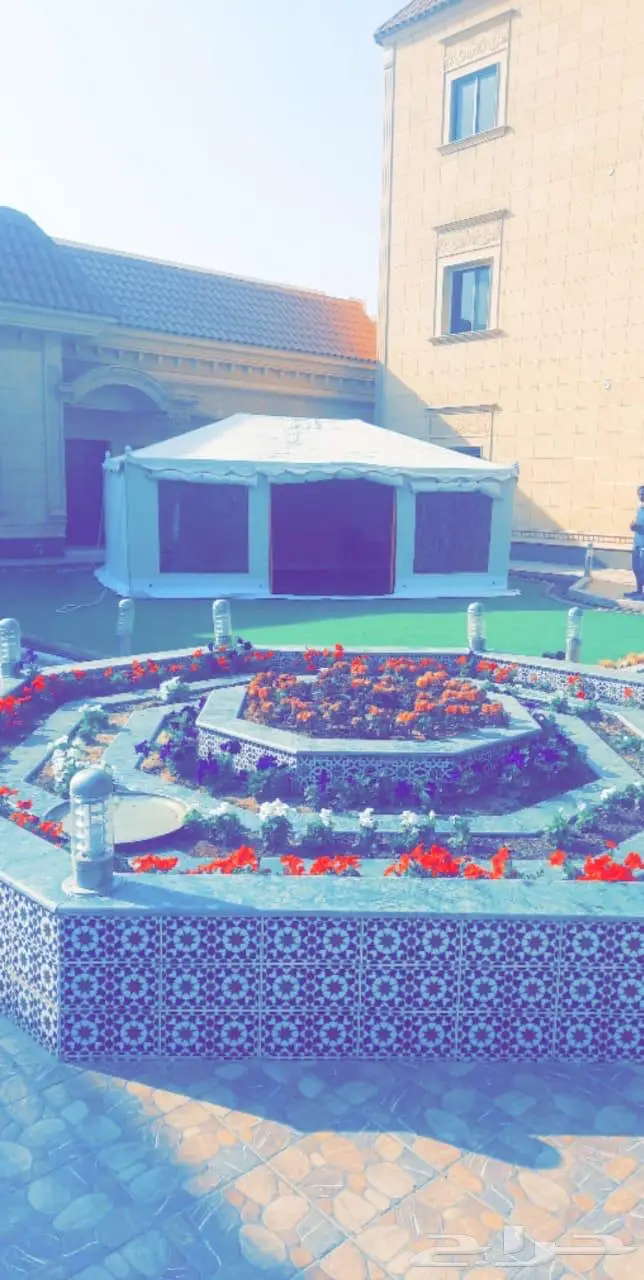 خيام صباحيه. الملكيه. هيكل جوده عاليه 11
