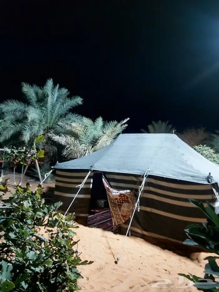 منتجع حلوه بالقاعد للإيجار اليومي 15
