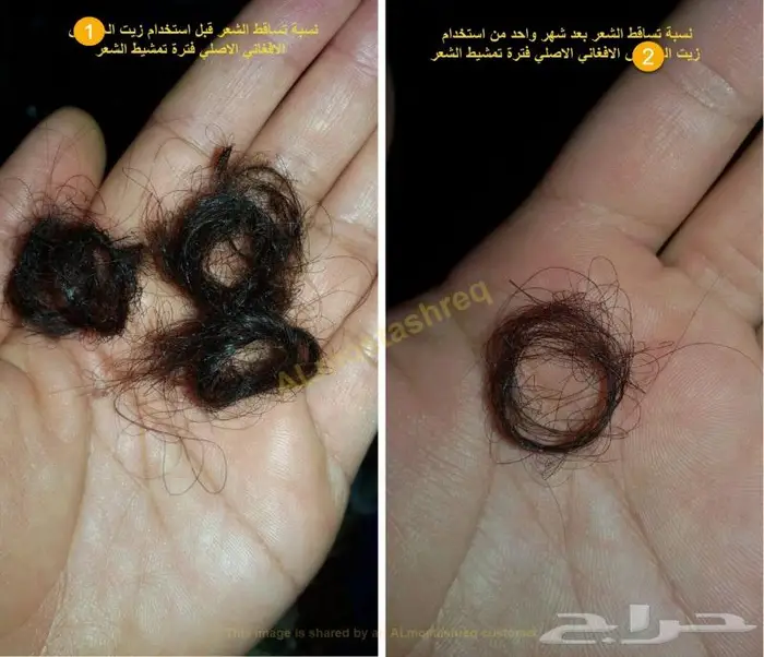 شركة المستشرق للزيت الافغاني 16