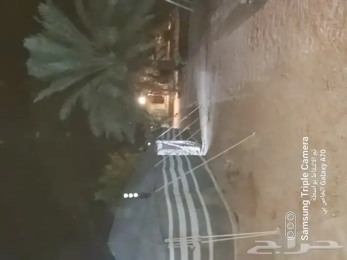 منتجع حلوه بالقاعد للإيجار اليومي 14