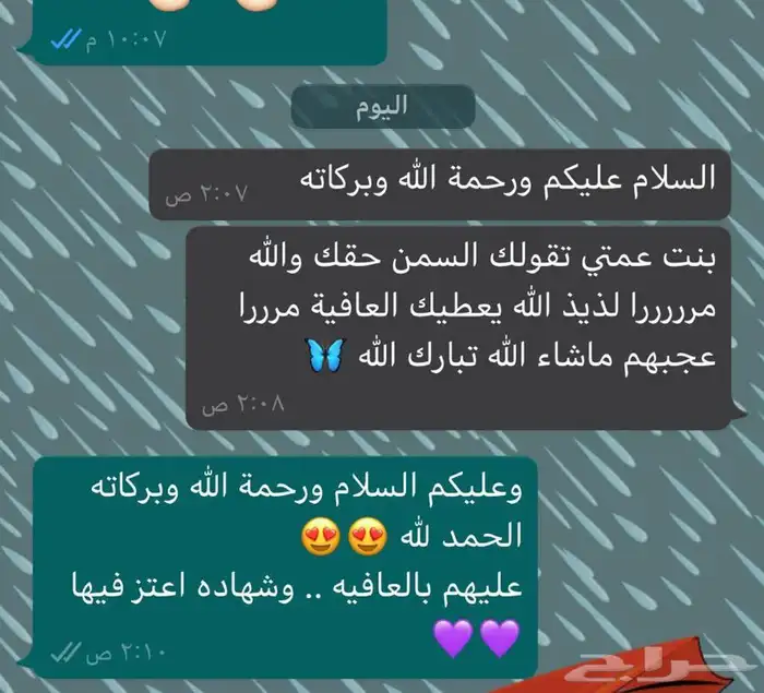 سمن غنم طبيعي بدون اضافات .. للطلب والاستفسار واتس 3
