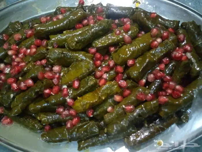 كبه وورق عنب 7