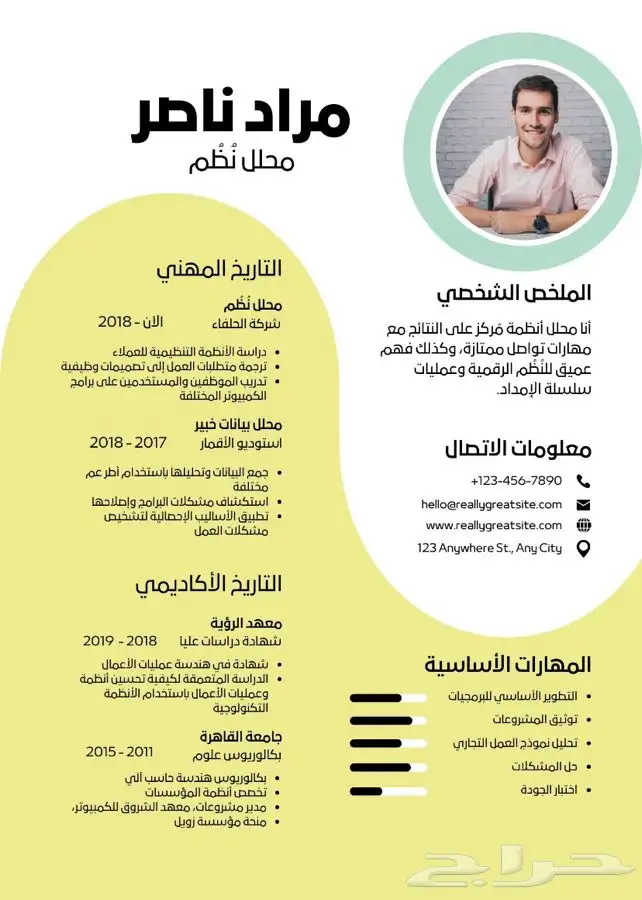 كتابة سيرة ذاتية احترافية باللغتين وتصميم عرض بوربوينت 4