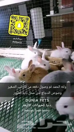 طيور قطط أسماك سلاحف اكل اعلاف 0