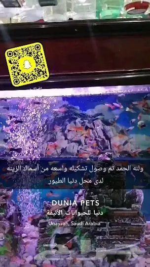 طيور قطط أسماك سلاحف اكل اعلاف 1