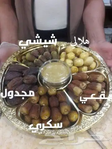 نخيل جميع اعمال النخل صيانه وتوريد 1