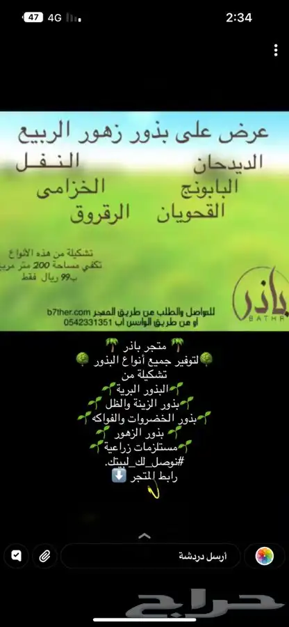 بذور خزامى كميات كبيره وسعر مميز 2