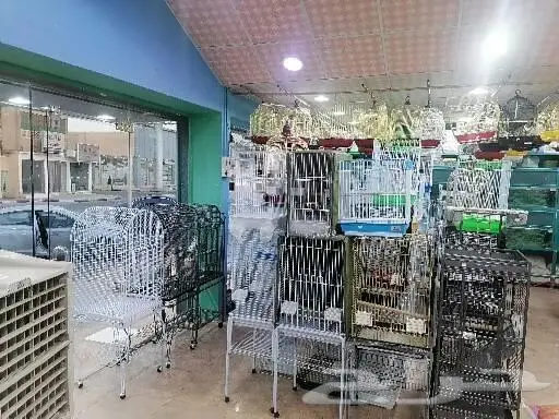 طيور قطط أسماك سلاحف اكل اعلاف 23