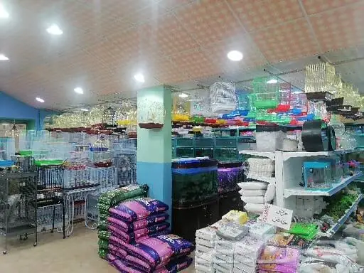 طيور قطط أسماك سلاحف اكل اعلاف 30