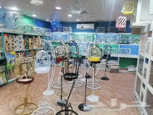 طيور قطط أسماك سلاحف اكل اعلاف 10