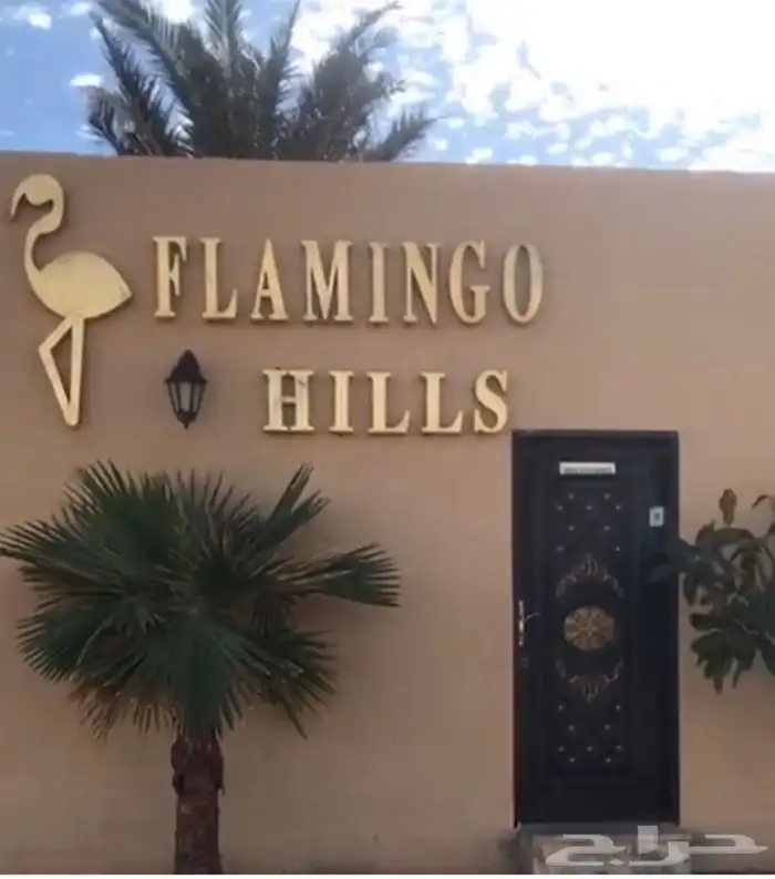 Flamingo Hills Resort Al Ammariah for daily rent 0