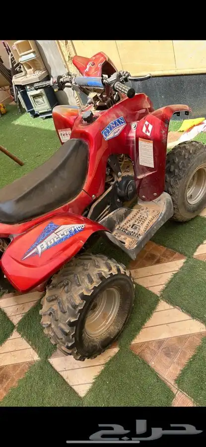 جينان دباب 4