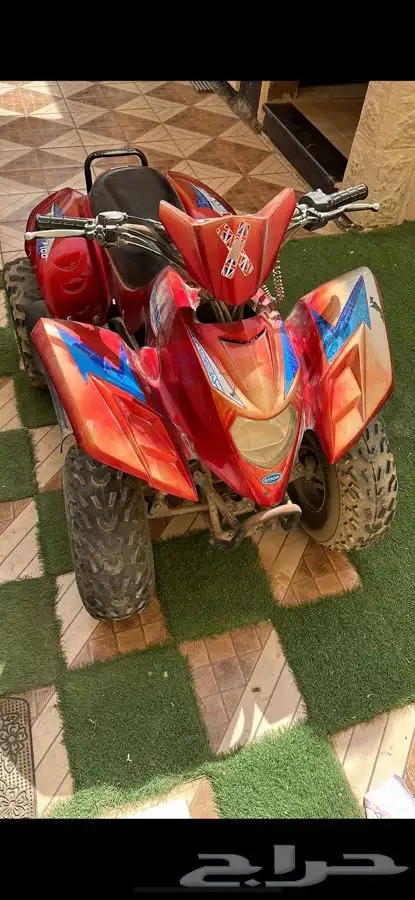 جينان دباب 5