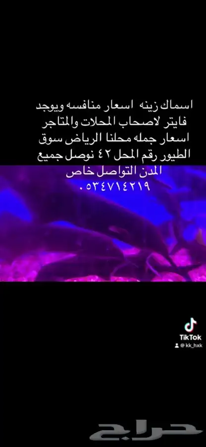 اسماك زينه جمله وتفريد 2