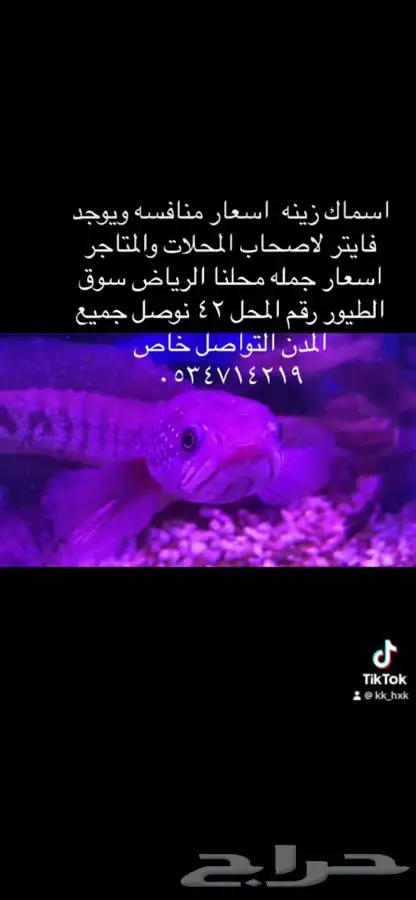 اسماك زينه جمله وتفريد 4