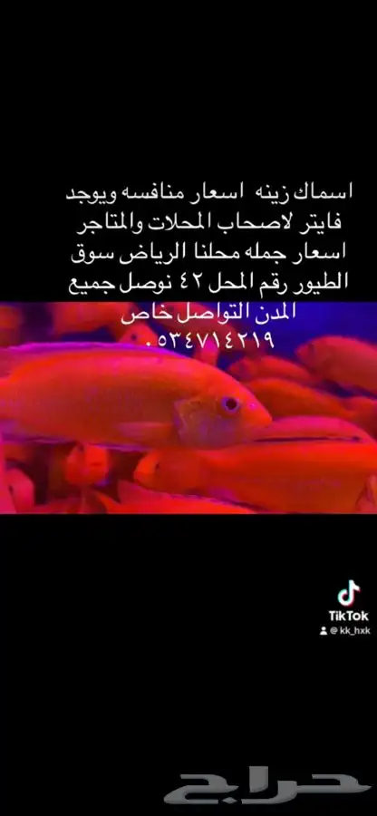 اسماك زينه جمله وتفريد 1