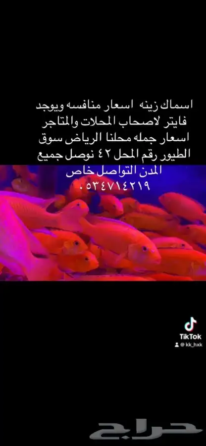 اسماك زينه جمله وتفريد 0