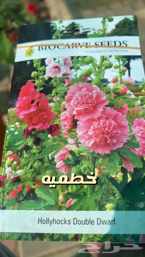 شتلات واشجار وورد باسعار طيبه 1