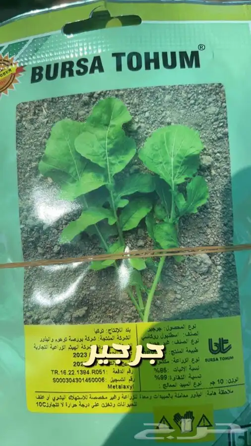 شتلات واشجار وورد باسعار طيبه 6