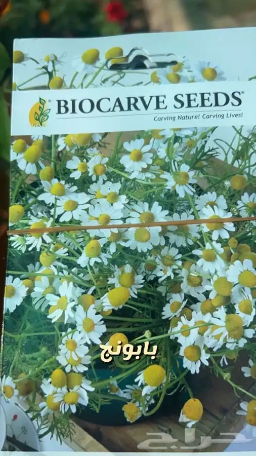 شتلات واشجار وورد باسعار طيبه 9
