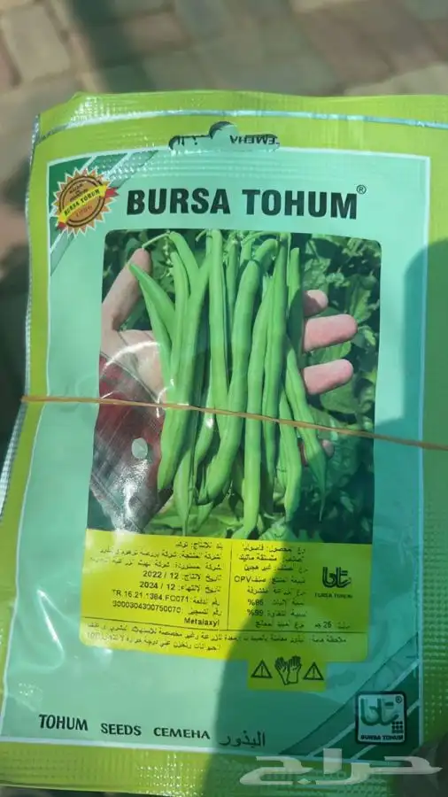 شتلات واشجار وورد باسعار طيبه 15