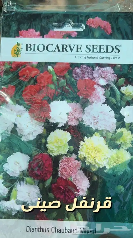 شتلات واشجار وورد باسعار طيبه 14