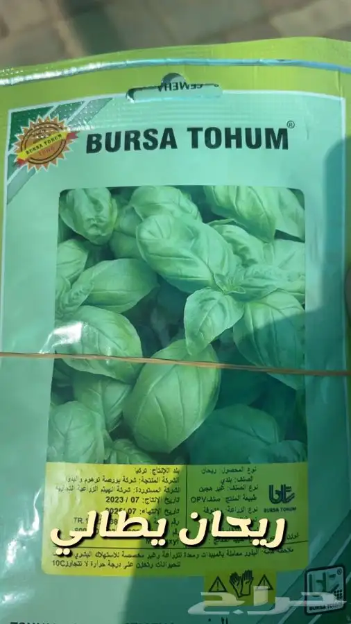شتلات واشجار وورد باسعار طيبه 12