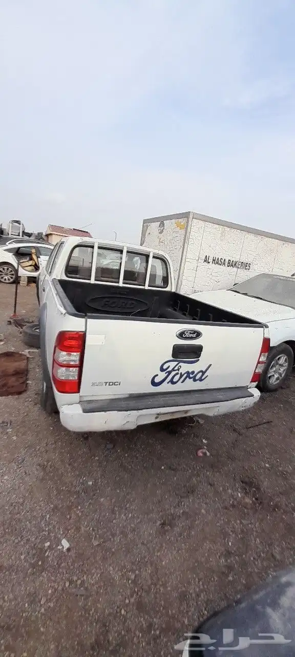 فرد رينجر 0