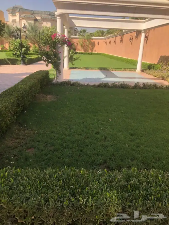 زرع طبيعي واشجار طبيعيه وشبكات راي وثيل طبيعي 7