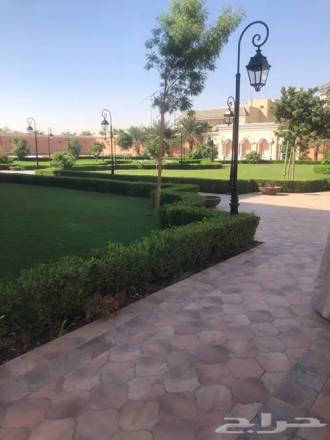 زرع طبيعي واشجار طبيعيه وشبكات راي وثيل طبيعي 8
