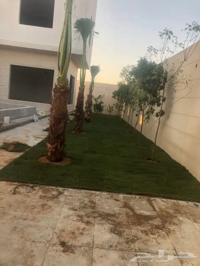 زرع طبيعي واشجار طبيعيه وشبكات راي وثيل طبيعي 19
