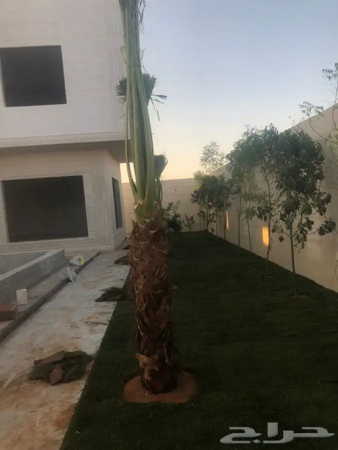زرع طبيعي واشجار طبيعيه وشبكات راي وثيل طبيعي 18