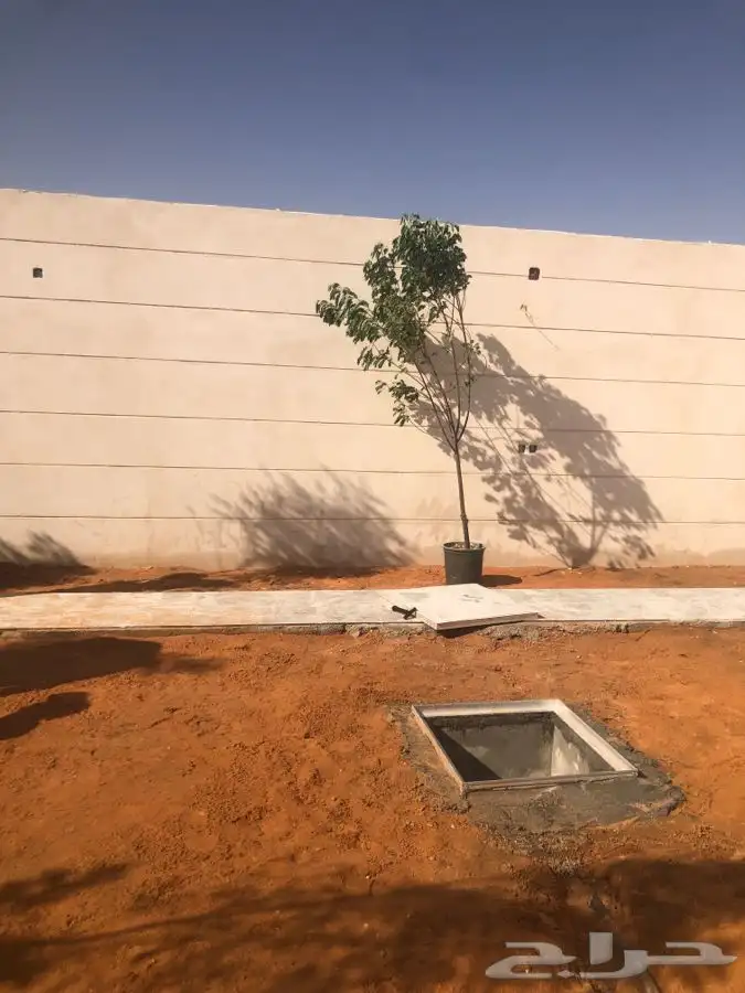 زرع طبيعي واشجار طبيعيه وشبكات راي وثيل طبيعي 27