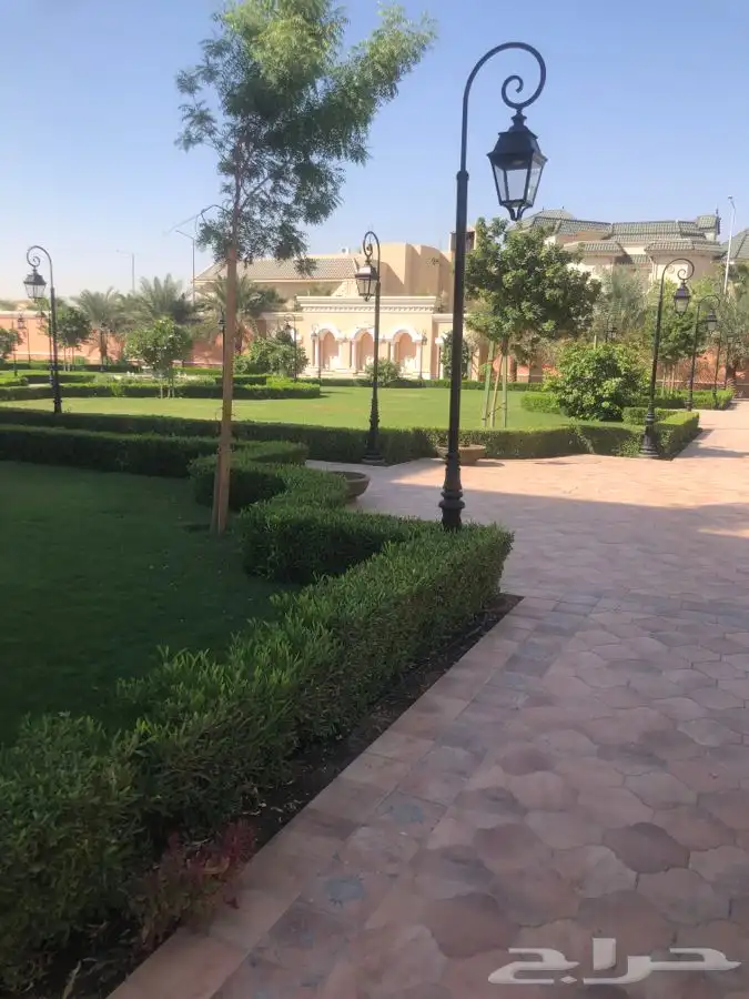 زرع طبيعي واشجار طبيعيه وشبكات راي وثيل طبيعي 6