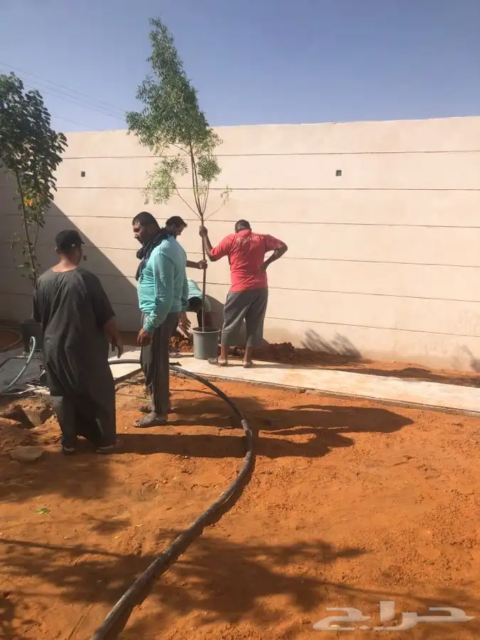 زرع طبيعي واشجار طبيعيه وشبكات راي وثيل طبيعي 29