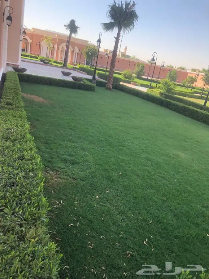 زرع طبيعي واشجار طبيعيه وشبكات راي وثيل طبيعي 14