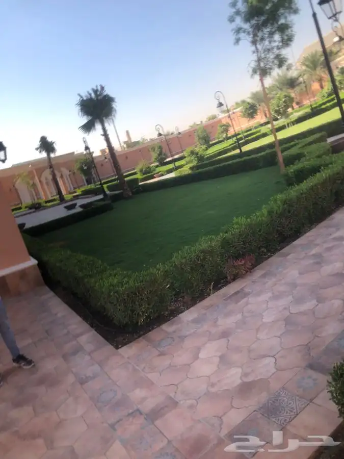 زرع طبيعي واشجار طبيعيه وشبكات راي وثيل طبيعي 11